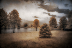 Moonlight Dreaming by the Lake 